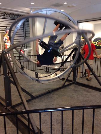 Museum of Arts and Sciences