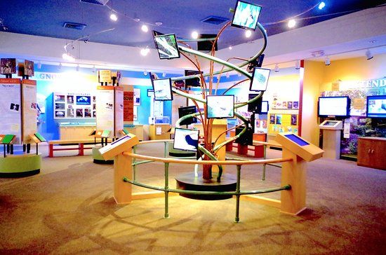 Clinic for the Rehabilitation of Wildlife