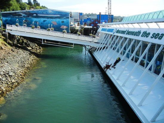 Oregon Undersea Gardens