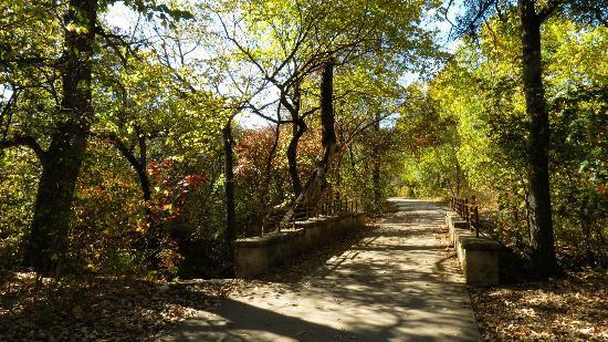 Arbor Hills Nature Preserve