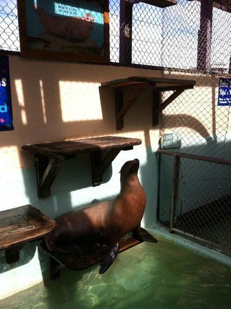 Morro Bay Aquarium