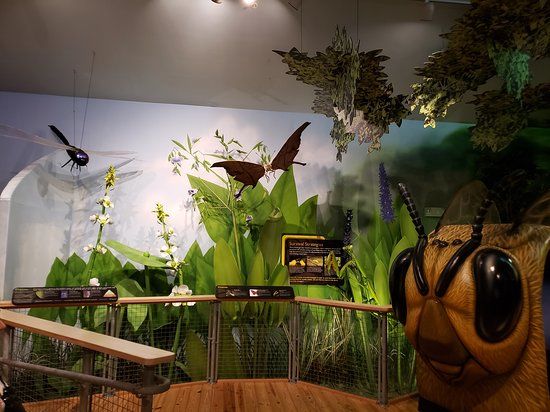 Daggerwing Nature Center