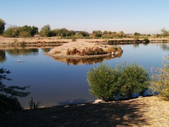 Henderson Bird Viewing Preserve