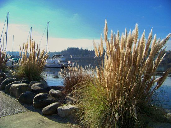 Percival Landing Park