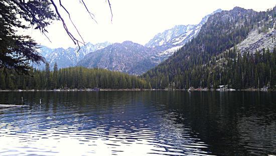 Wenatchee National Forest
