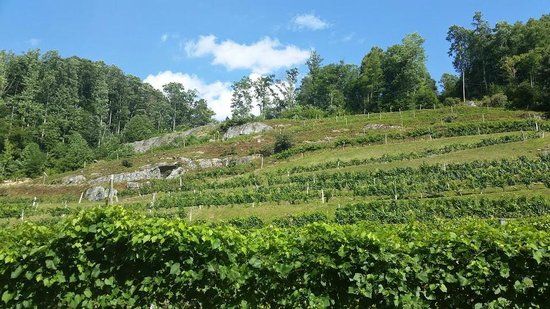 Grandfather Vineyard Winery