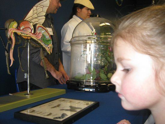 World of Wonders Science Museum