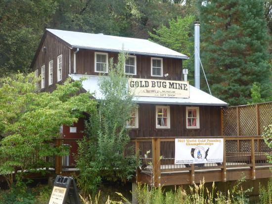 Hangtown's Gold Bug Park