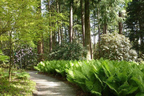 Rhododendron Species Botanical Garden