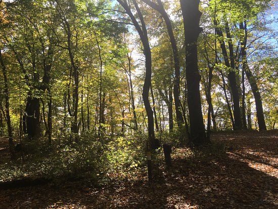 Myre-Big Island State Park