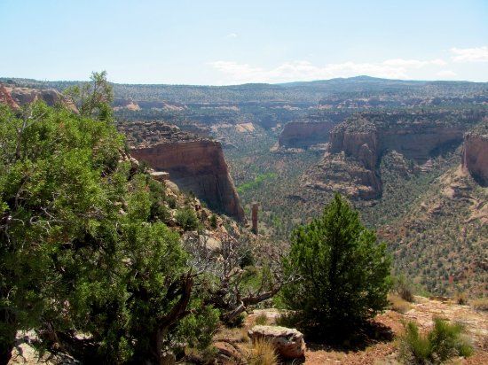 Black Ridge Wilderness Study Area