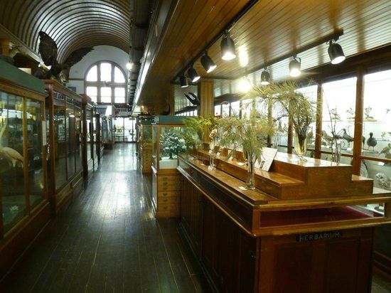 Fairbanks Museum and Planetarium