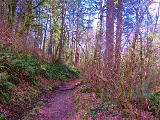 Cougar Mountain Regional Wildland Park