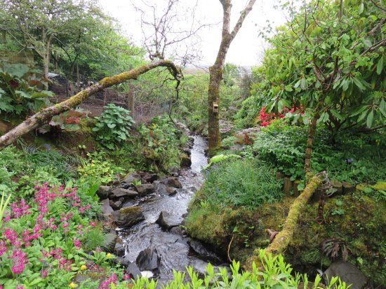 Lip na Cloiche Garden and Nursery