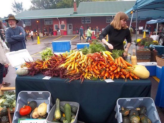 Fredericton Boyce Farmers Market