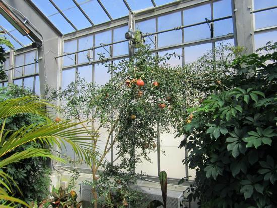 Garfield Park Arts Center