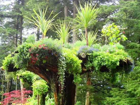 Glacier Gardens Rainforest Adventure