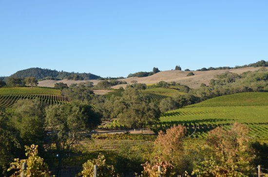 Christopher Creek Winery