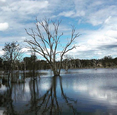 Mulligans Flat Woodland Sanctuary