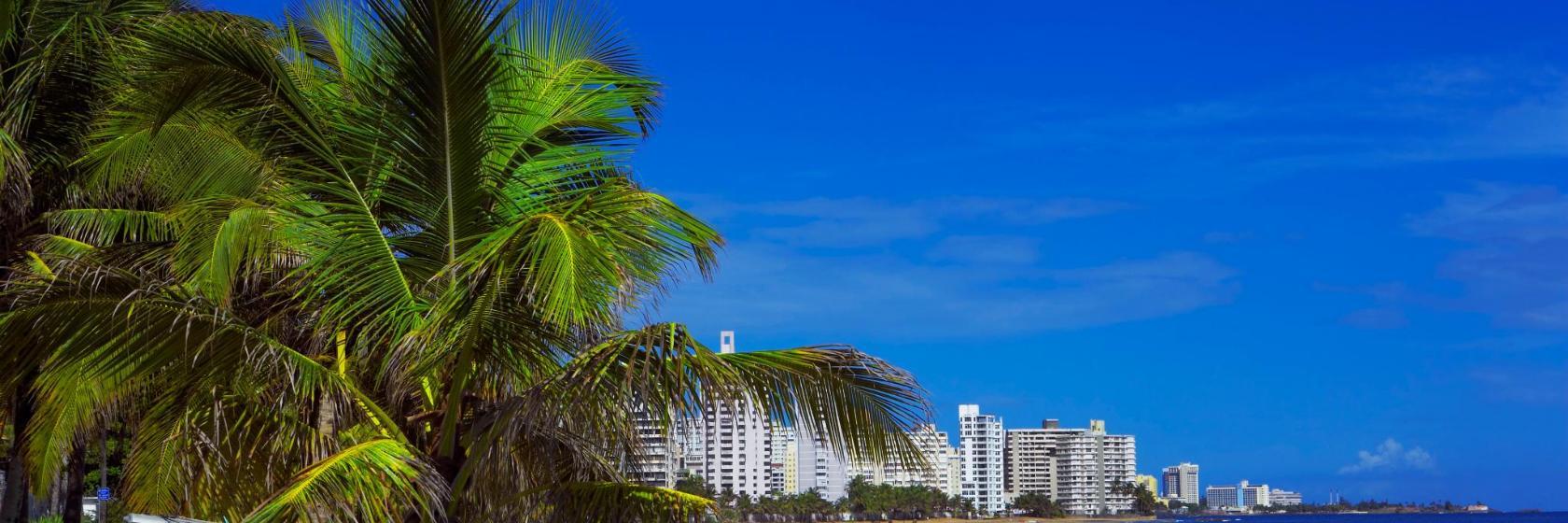 Playa Ocean Park