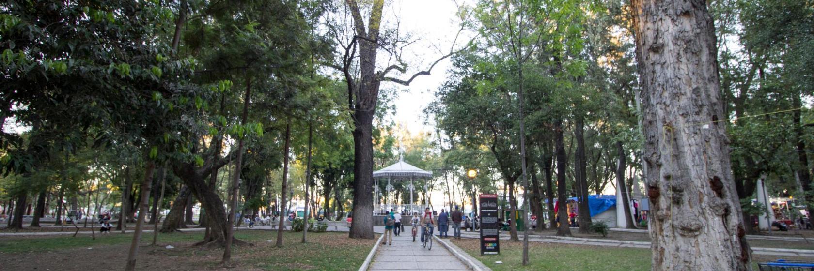 Morelos Park