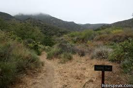 Zuma Canyon Trail