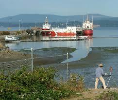 Patricia Bay Park