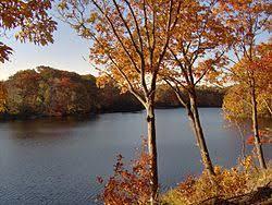 Westons Mill Pond