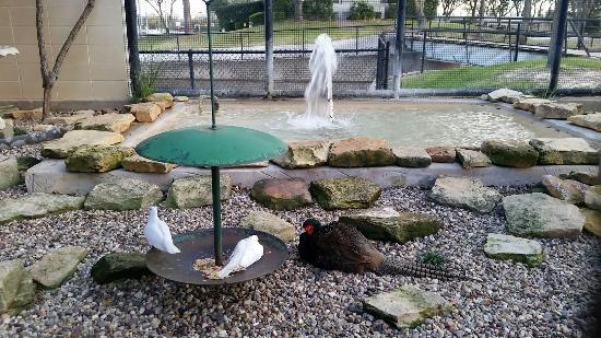 Bear Creek Pioneers Park