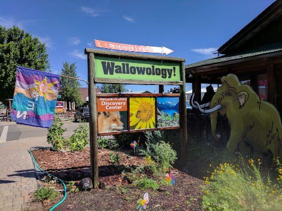 Wallowology Natural History Discovery Center
