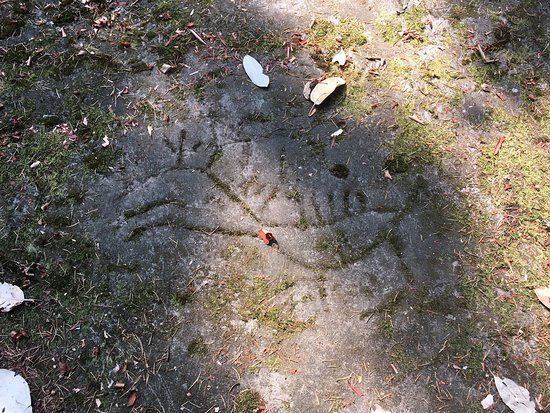 Petroglyph Provincial Park