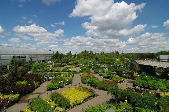 Greenland Garden Centre