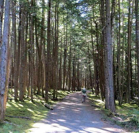 Kitselas Canyon National Historic Site