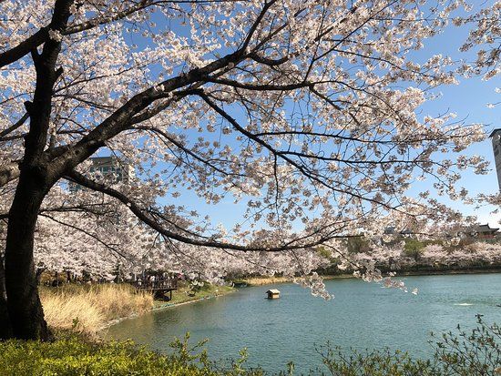 Seokchon Lake