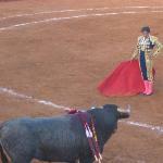 Not Your Average Joe's